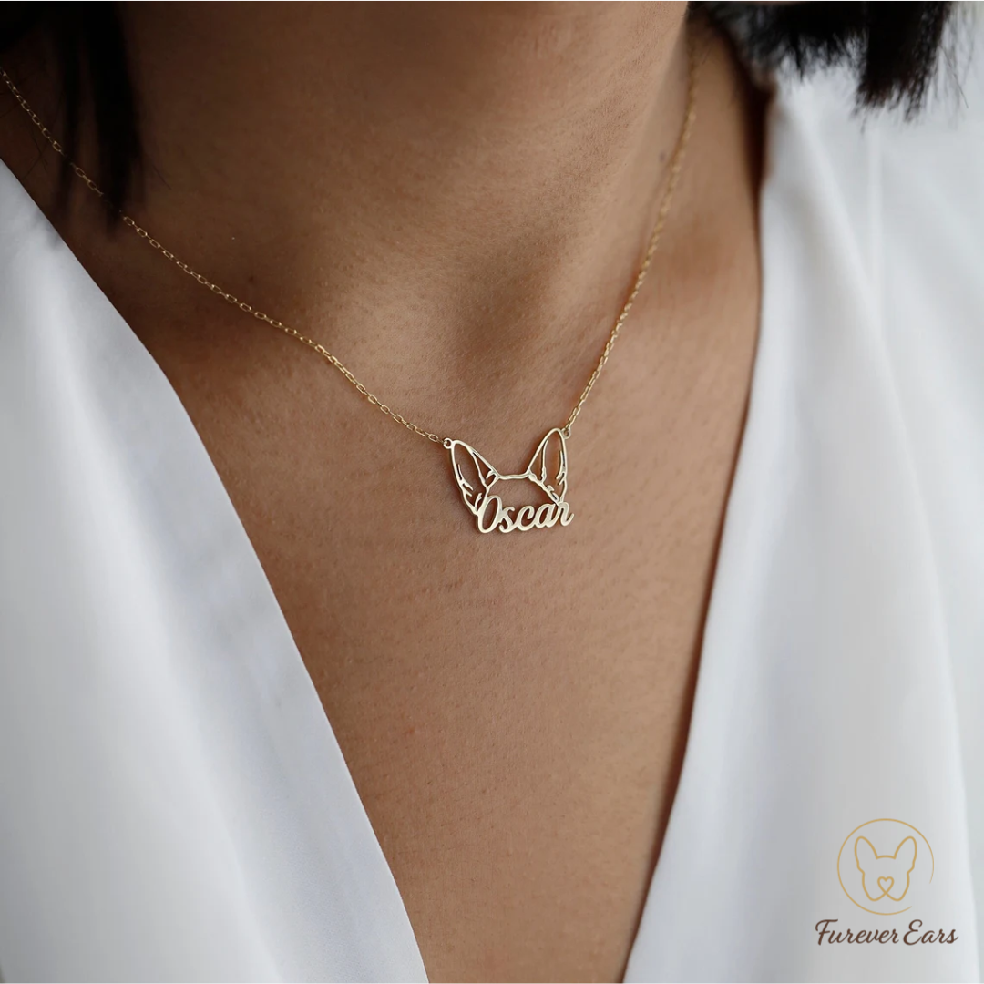 Collar Personalizado | Orejitas y Nombre de tu Perro