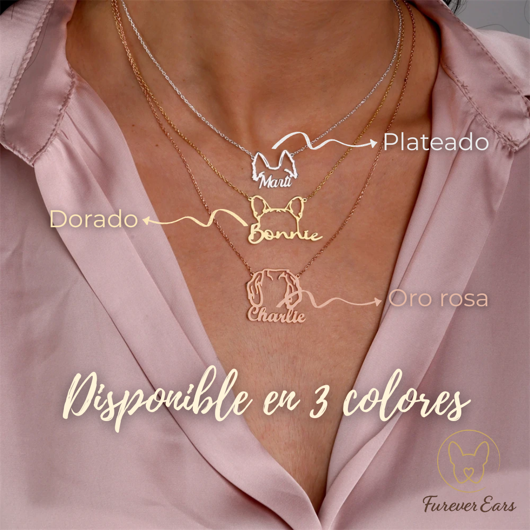 Collar Personalizado | Orejitas y Nombre de tu Perro