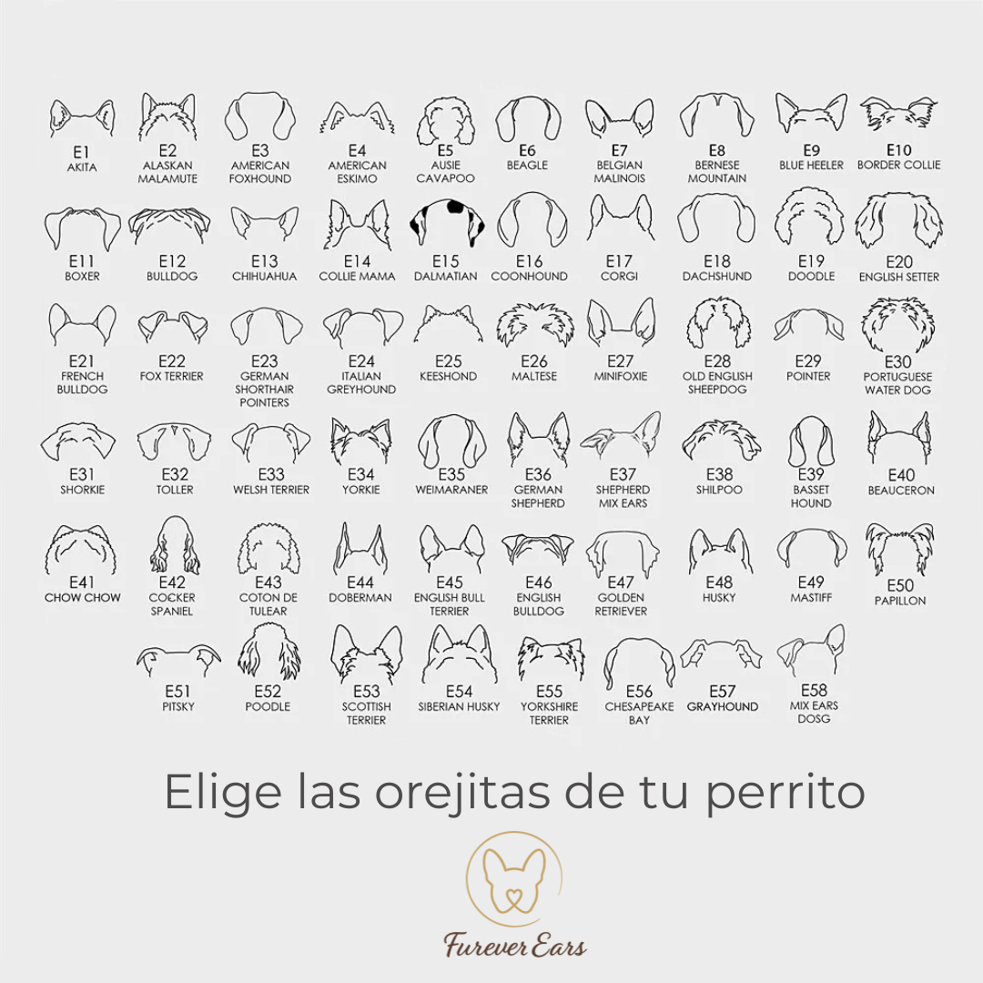 Collar Personalizado | Orejitas y Nombre de tu Perro