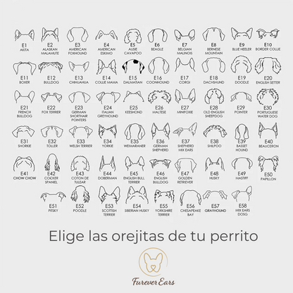 Collar Personalizado | Orejitas y Nombre de tu Perro