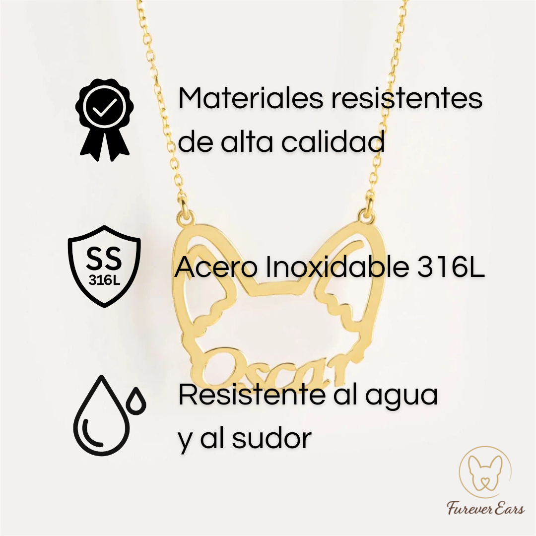 Collar Personalizado | Orejitas y Nombre de tu Perro