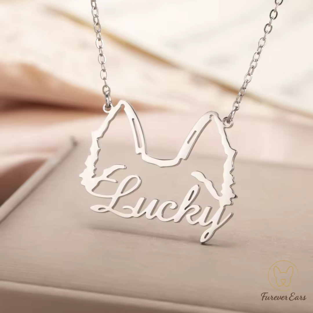 Collar Personalizado | Orejitas y Nombre de tu Perro